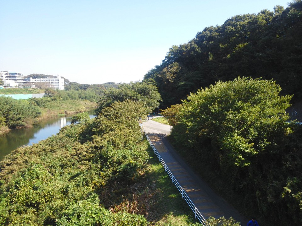 花見川大橋から見渡した花見川と花見川サイクリングコース