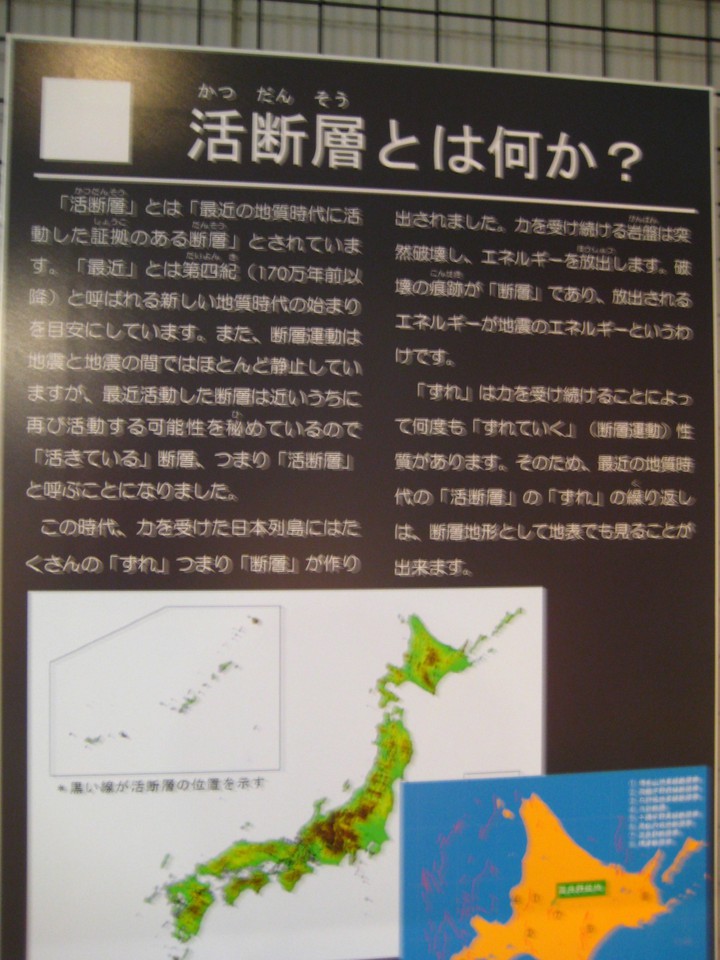 富良野市博物館の展示物