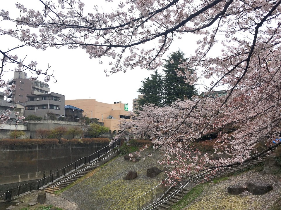 すり鉢状の谷