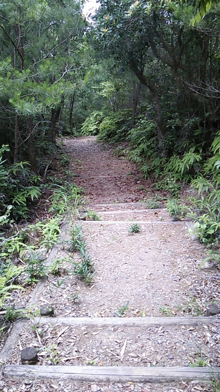 遊歩道の様子(蟠竜湖寄り)
