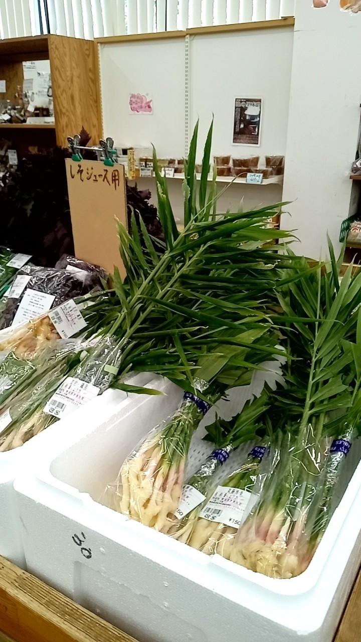 いで湯っこ市場