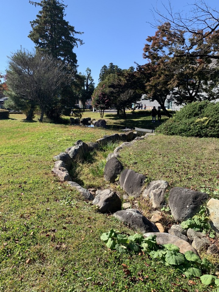 ピクニックもできます