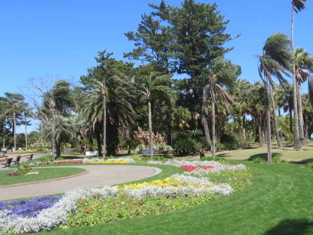 公園内