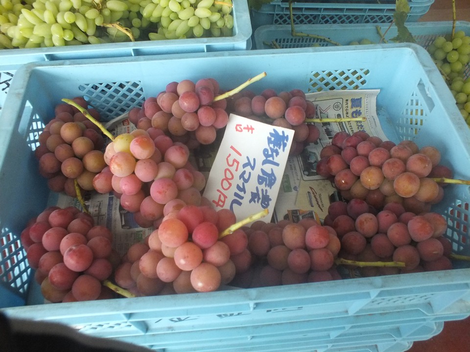 スマイル甘かったです。