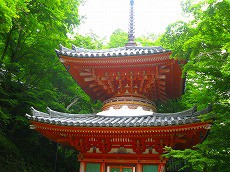 多宝塔