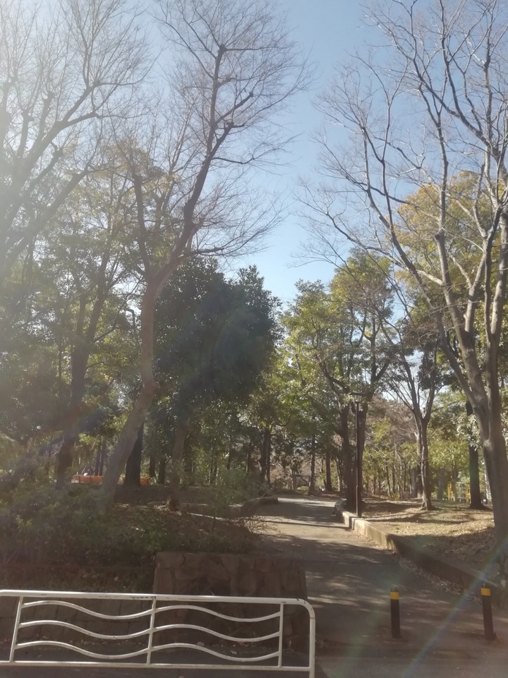 広々とした公園