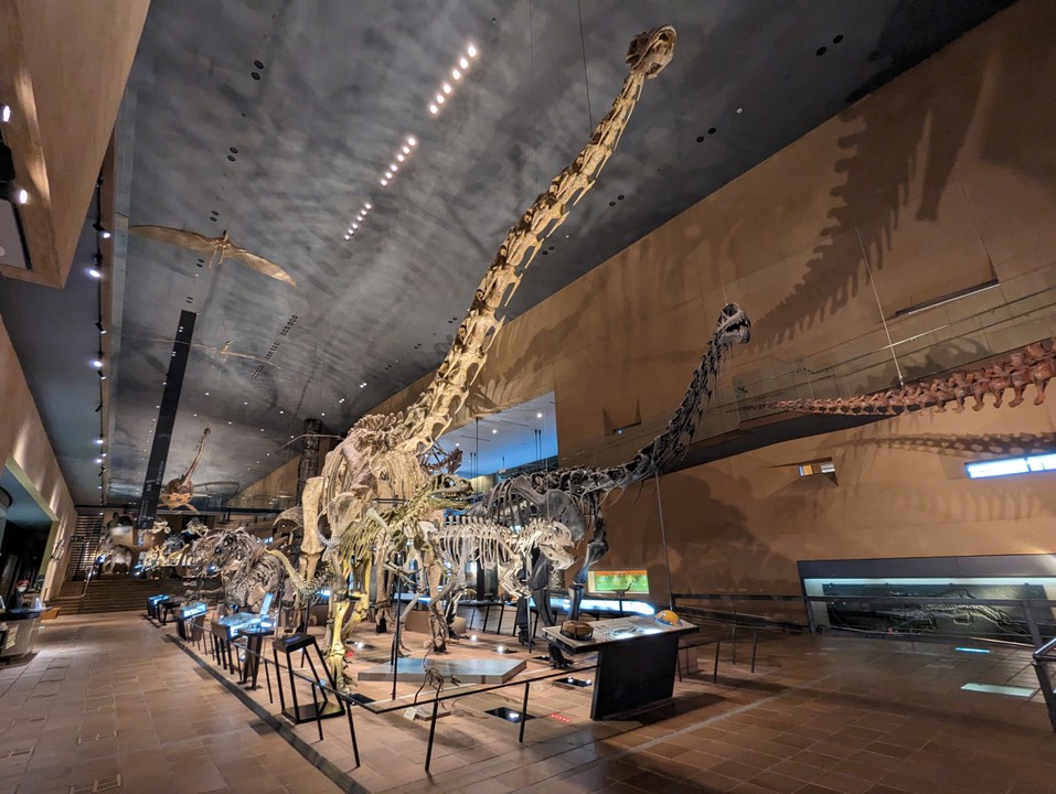 Exhibits