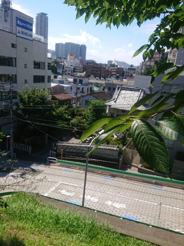 一ツ木公園の高台部から、三分坂と寺院が眼下に見ることができる