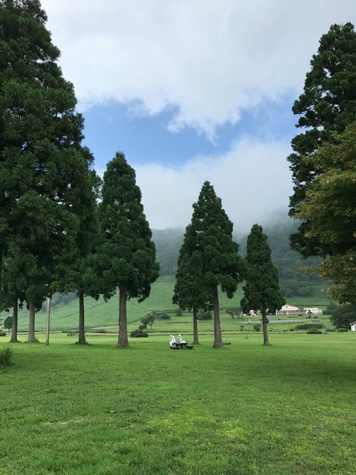 夏も涼しく景色も北海道みたいです。