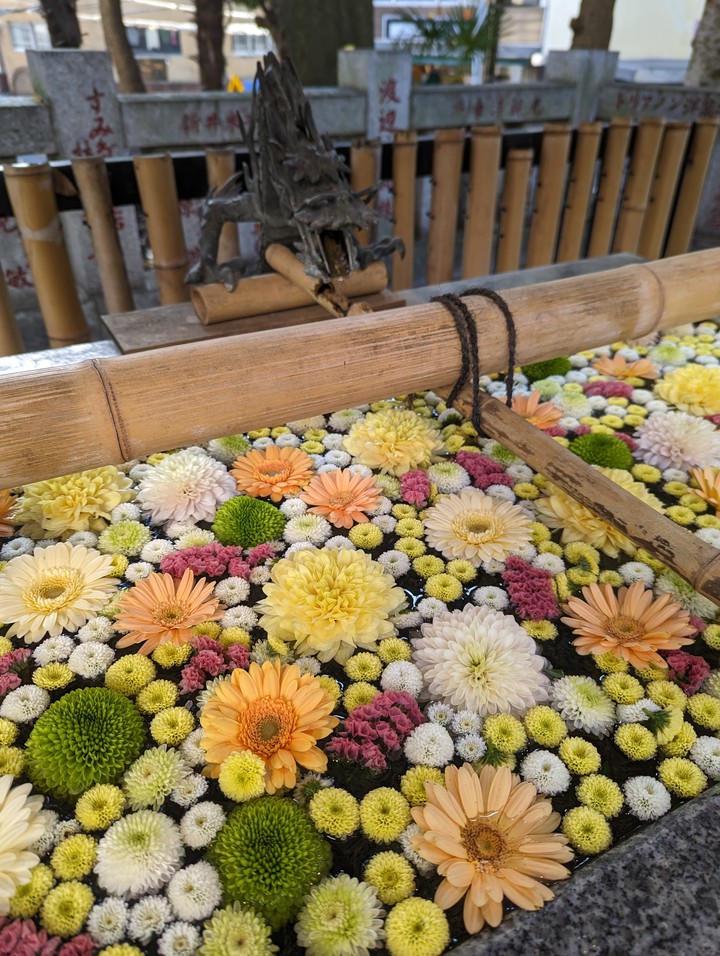 氷川神社 / Hikawa Shrine