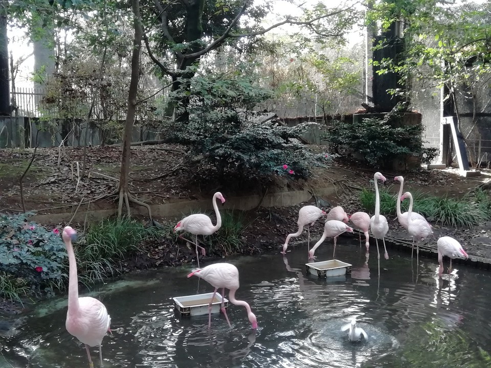 ミニ動物園