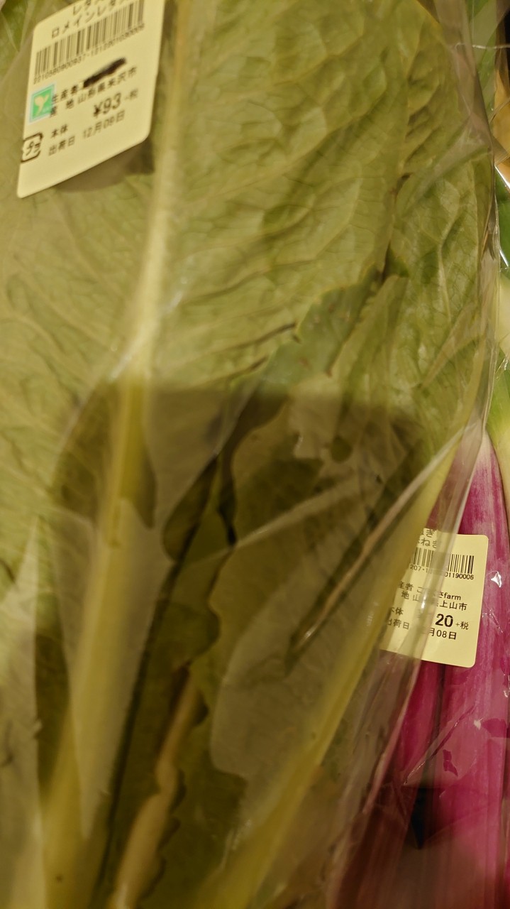 ねぎが、6本入りで120円！