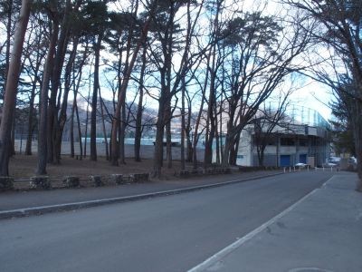 レフト側から見た球場。円山公園の木々が多くありました。