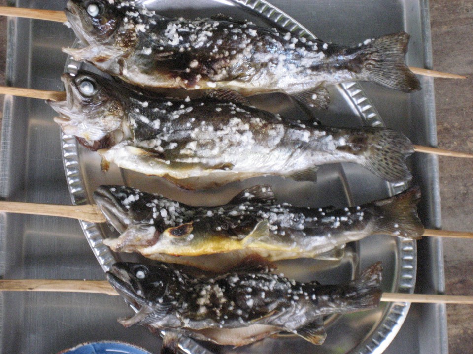 釣った魚はその場で焼いてくれます