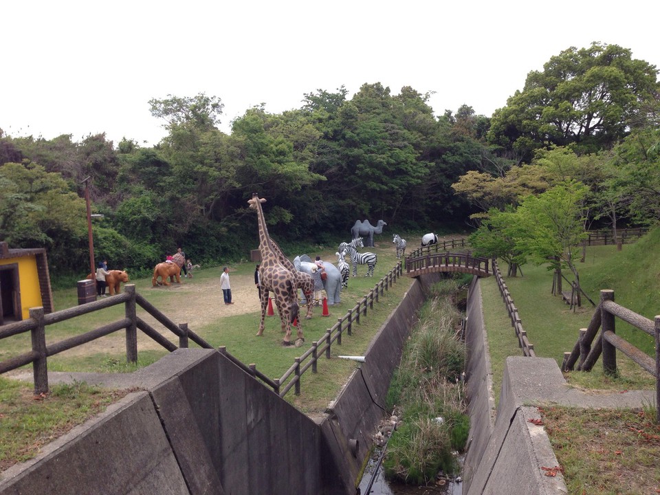 動物達です。