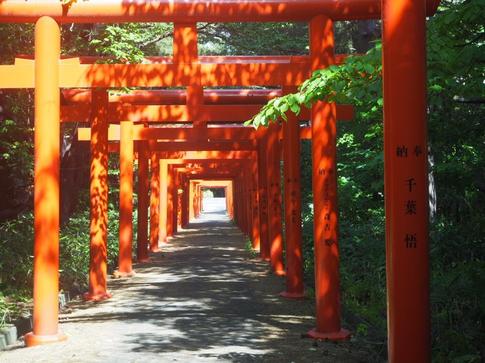 鳥居のアーチ