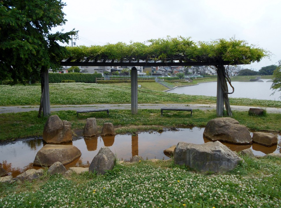 藤棚・水の流れ・大蔵池・住宅地の眺め。