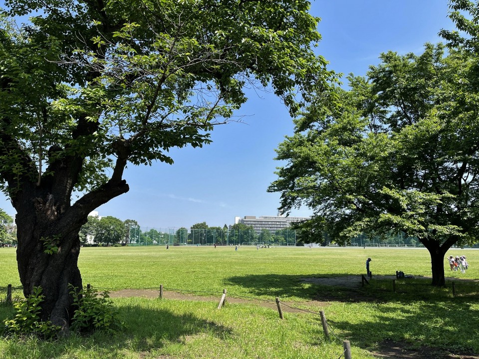 武蔵野中央公園