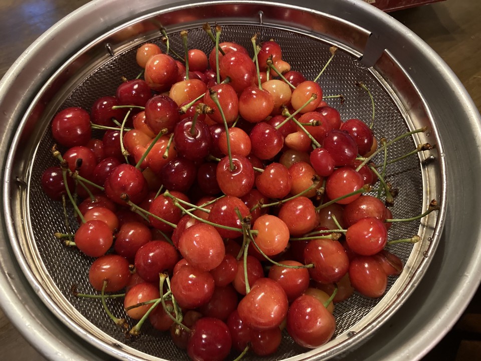 これだけあって￥１０００