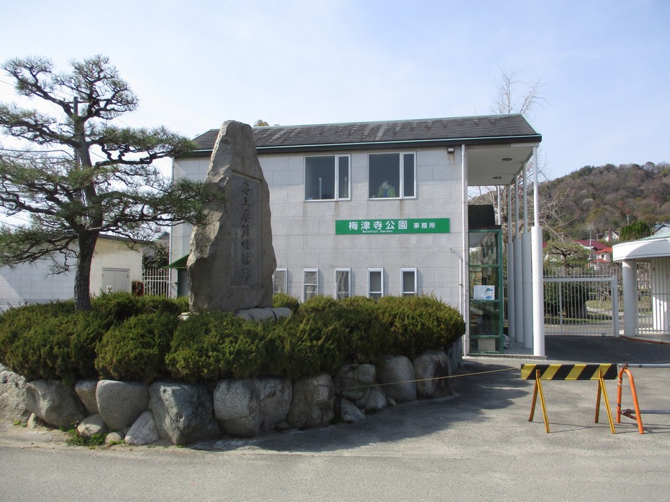 梅津寺公園