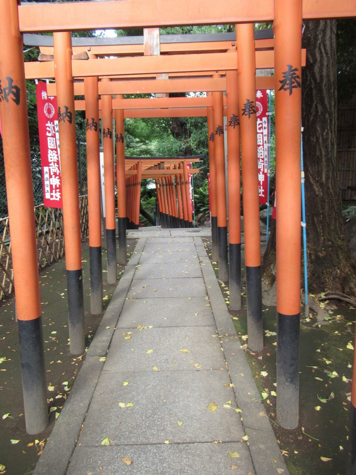 赤い鳥居が続く参道