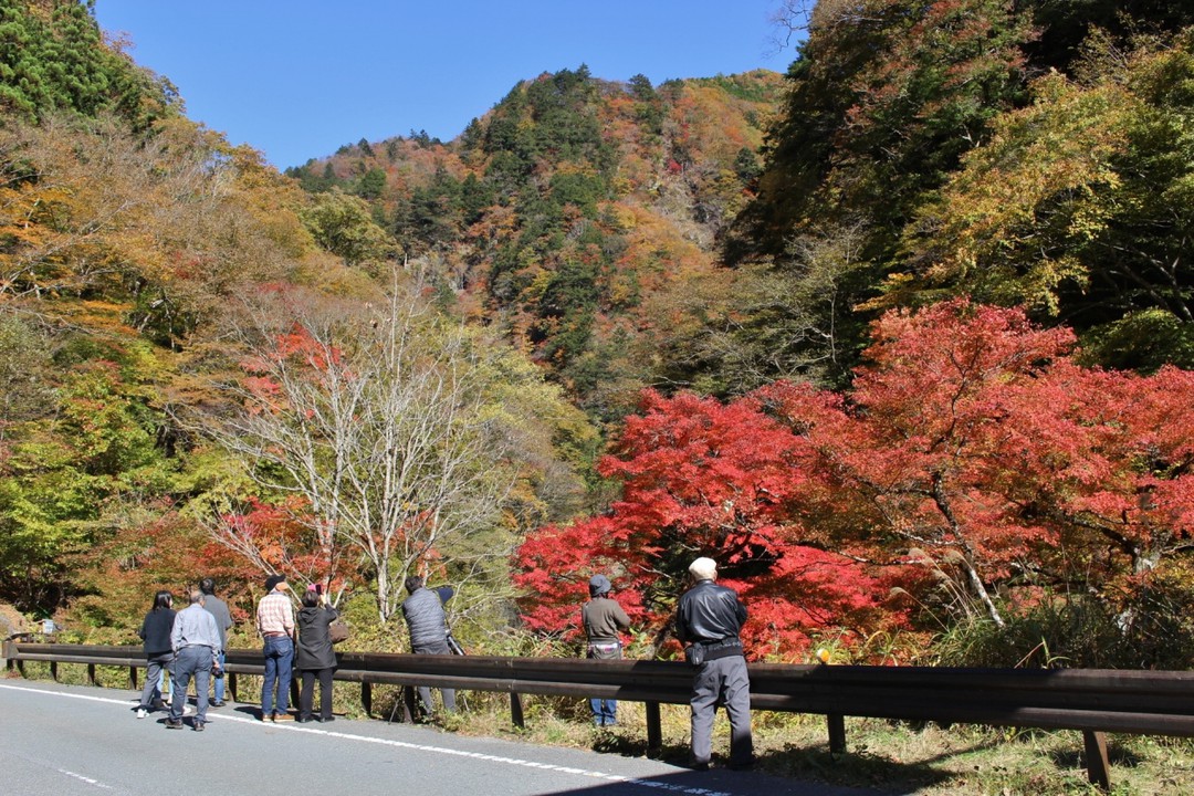大勢の人が立ち止まって撮影中
