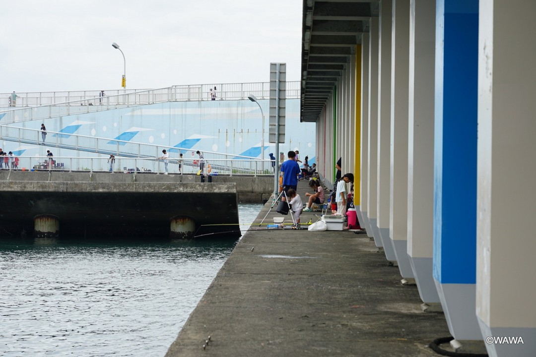 フィッシャリーナ鴨川 海太郎 ＝前原フィッシャリーナ？