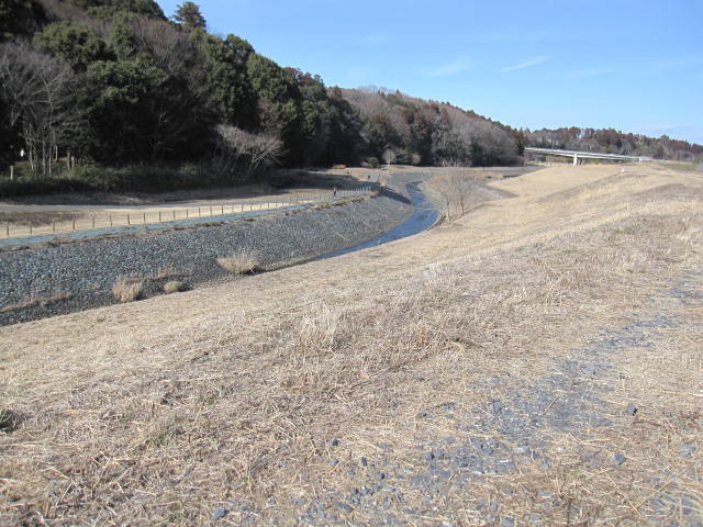 半分はまだ整備されず湿地帯のまま。