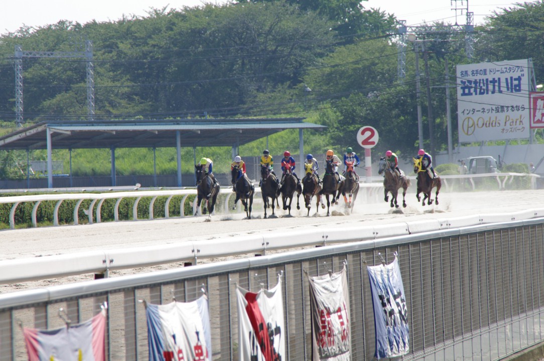 レースは迫力満点！