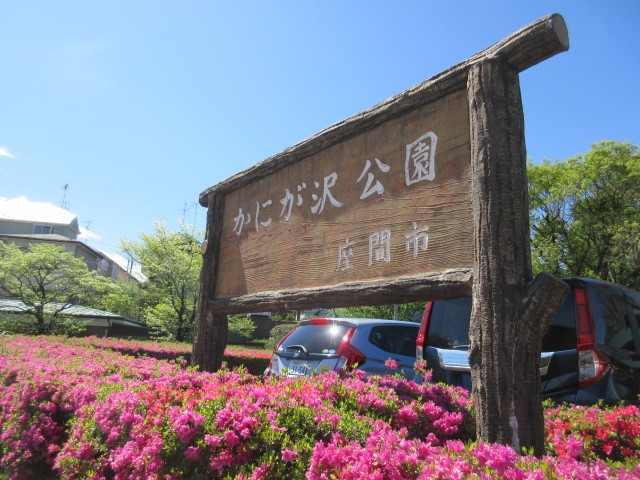 公園