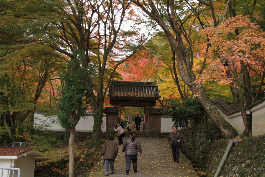 参道