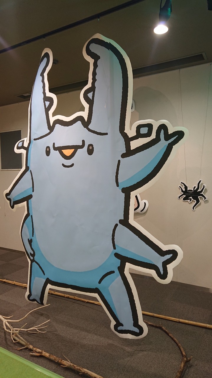 ヒラタクワガタ