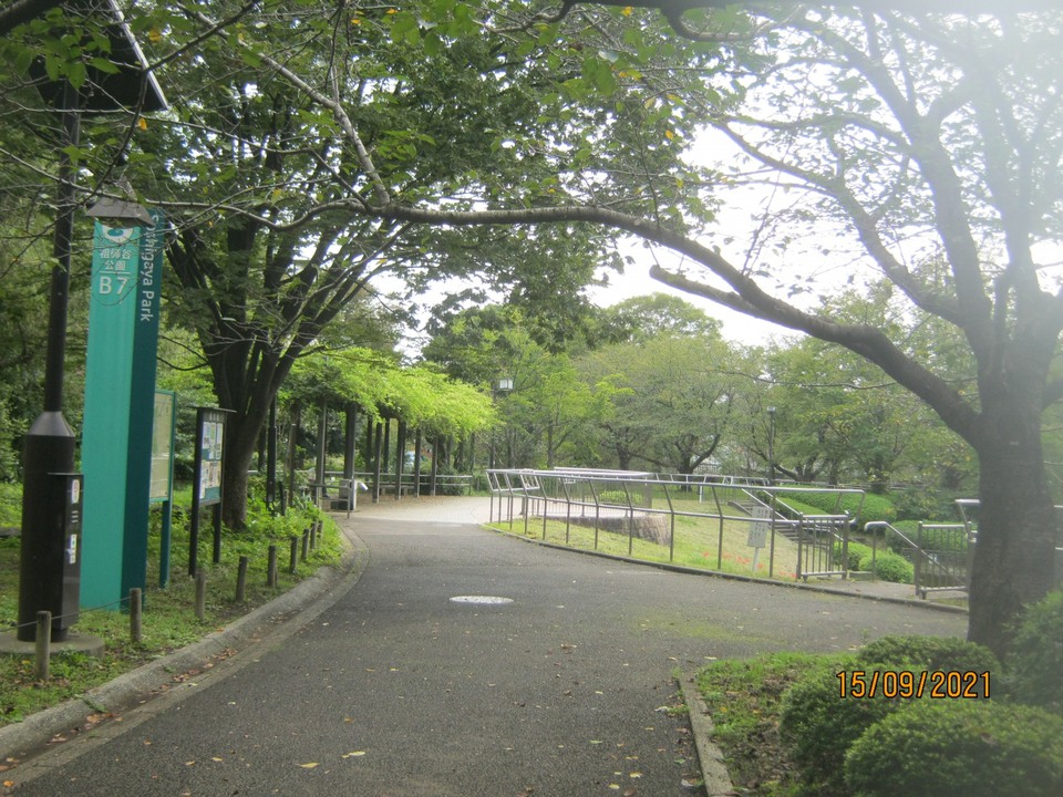 公園の様子です。