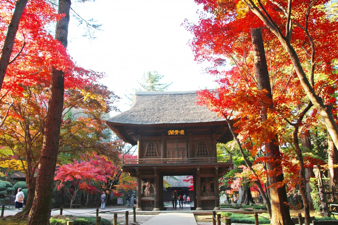 紅葉に彩られた山門 