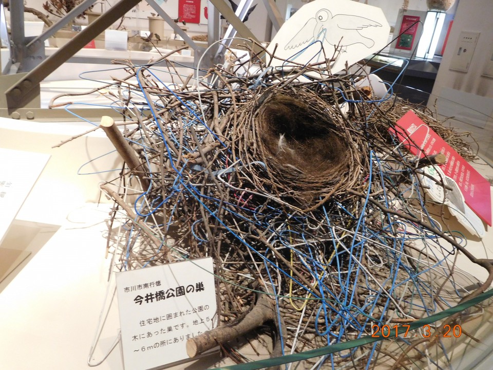 都会のカラスの巣