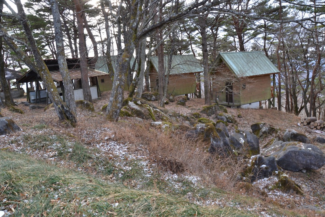 木立の中にバンガローが点在します。