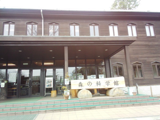 入口