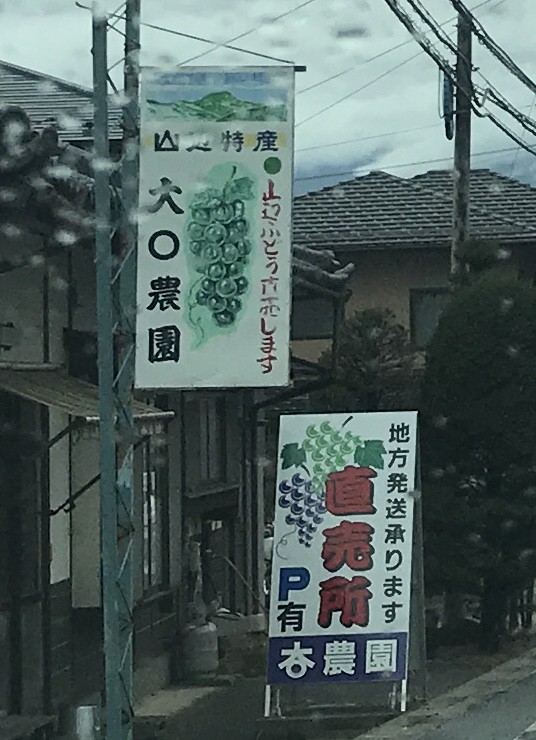 街道のブドウ園の直売所。