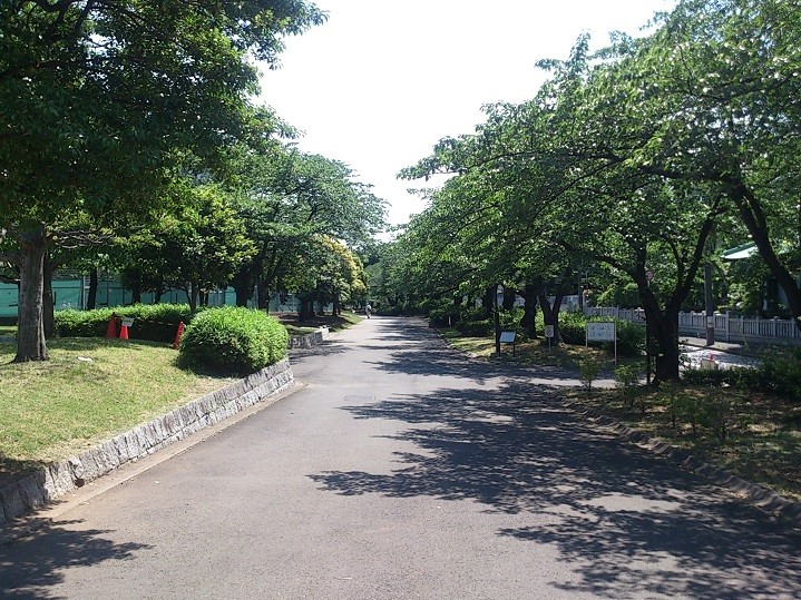 散策路