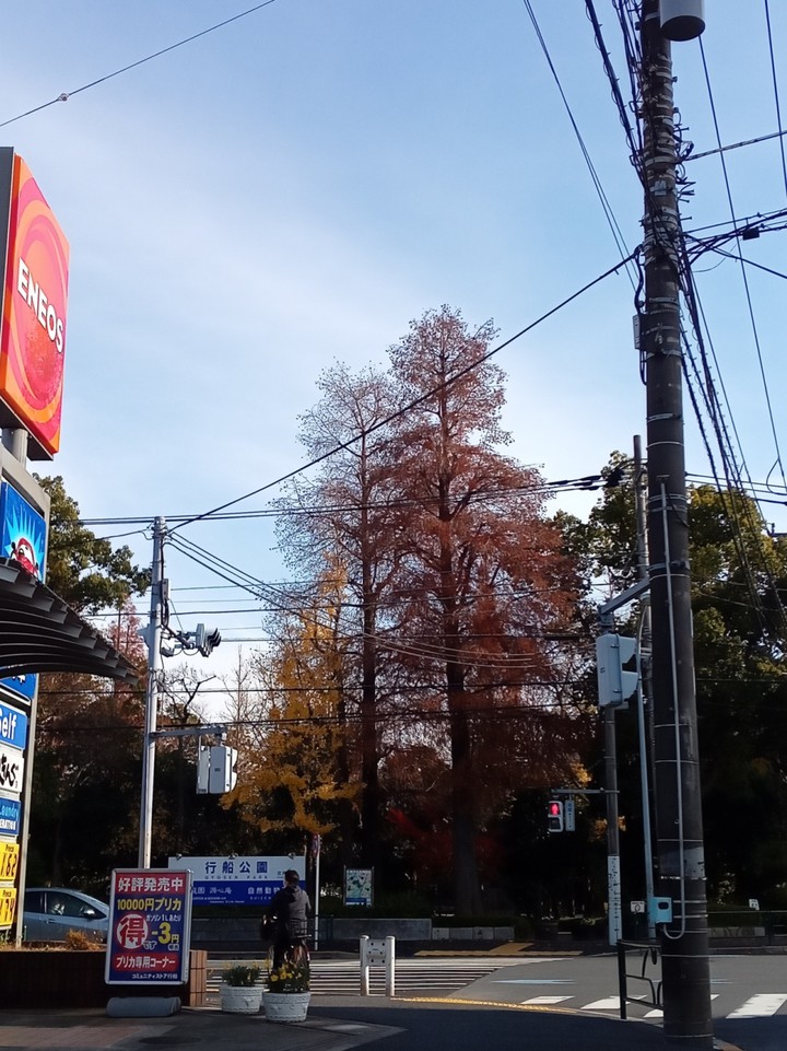 江戸川区自然動物園