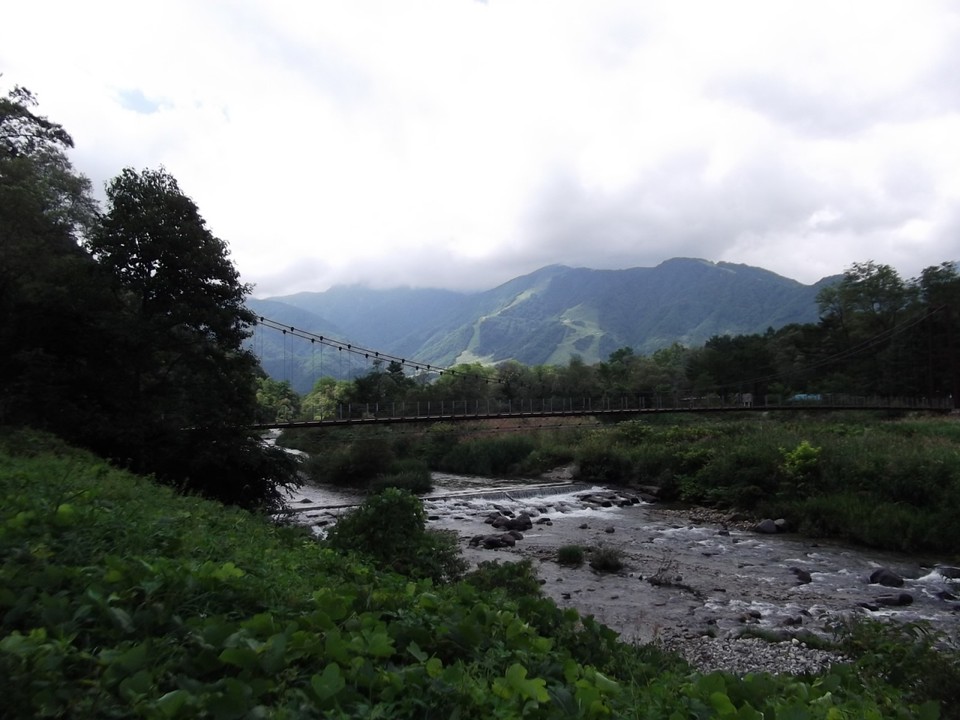 公園内に吊り橋があります