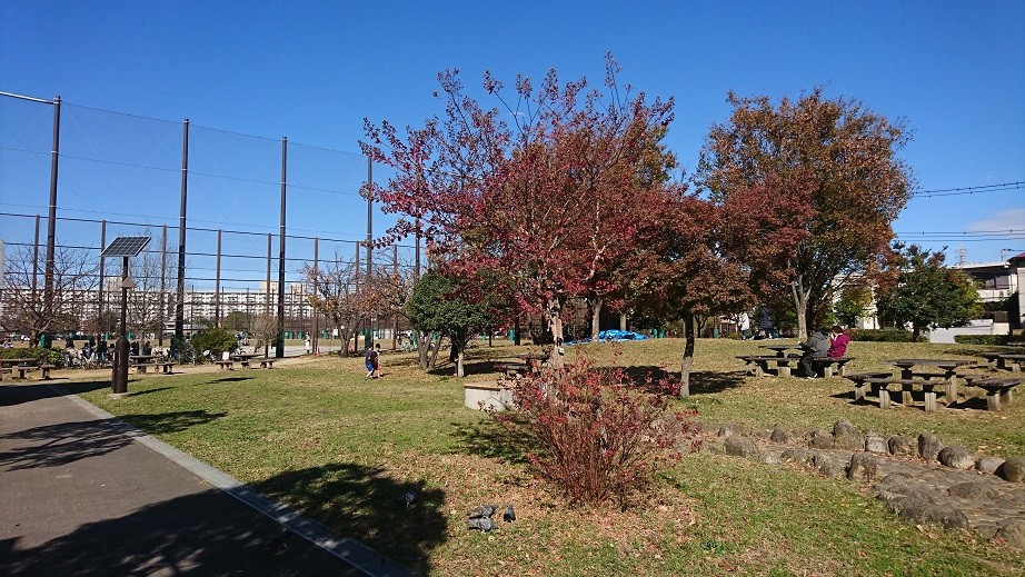 少年野球場と広場