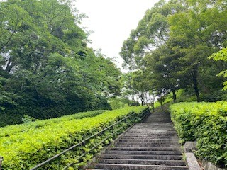 かなりアップダウンがあります。