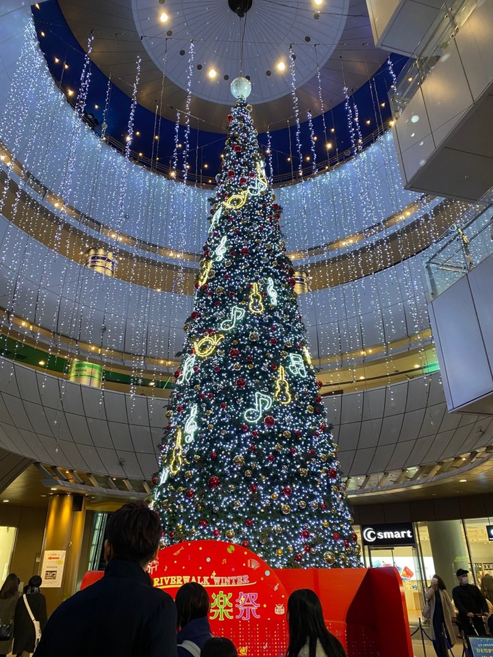 クリスマスツリーの様子です。