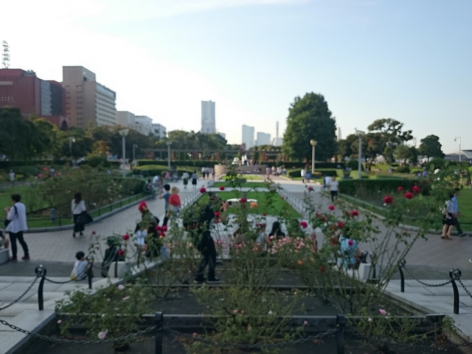 沈床花壇