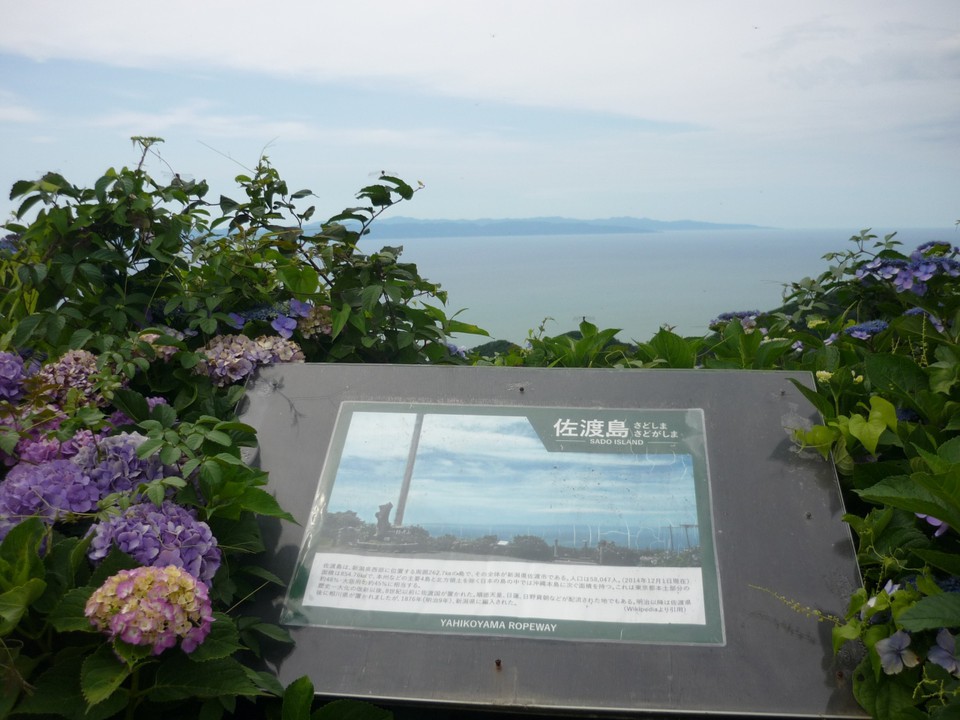 向こうに見えるのは佐渡島。