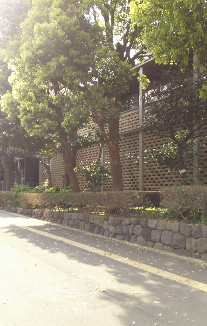 図書館