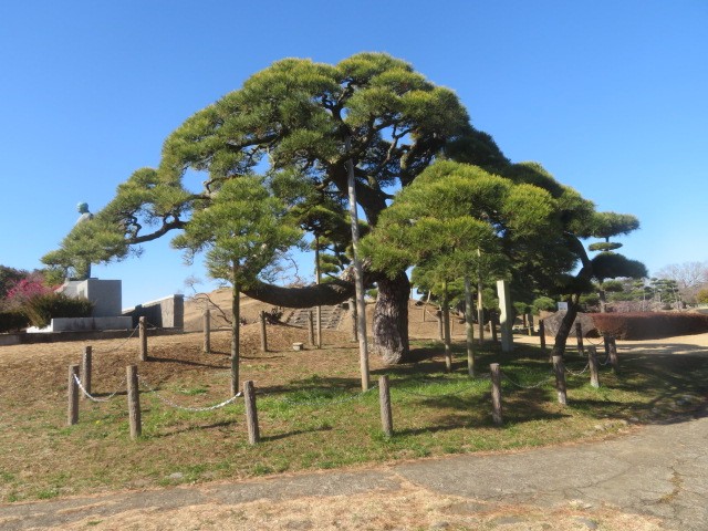 公園内