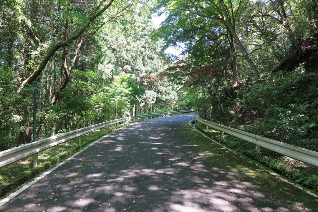 平山城ですから、上り坂です