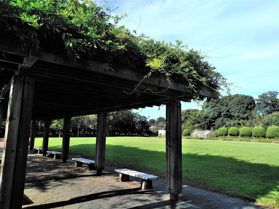藤棚と広場